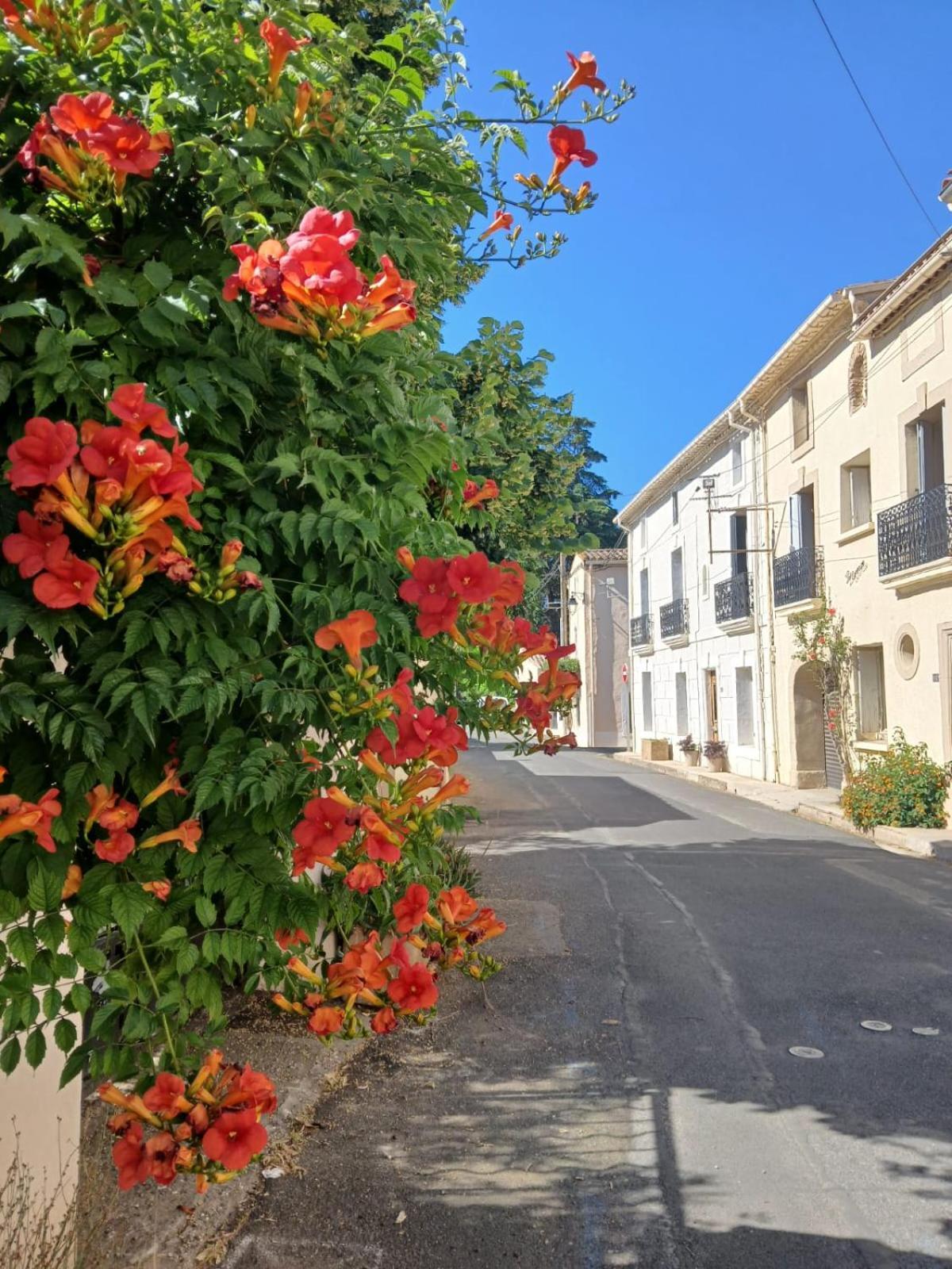 L'Oostaloo Logement De Vacances Usclas-l'Herault Exterior foto